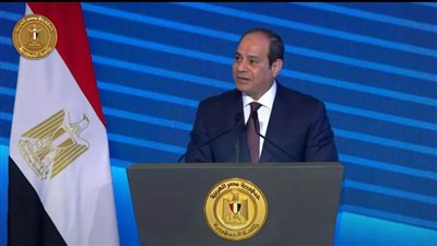 الرئيس السيسي: المصريون نجحوا في الحفاظ على الدولة والانطلاق نحو تأسيس الجمهورية الجديدة