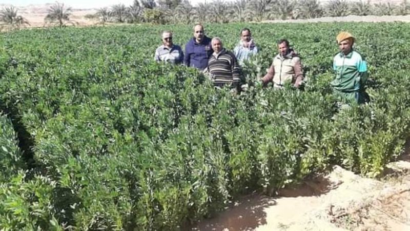 المحطة الإقليمية