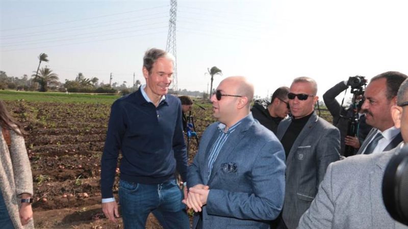 حصاد البطاطس فى بنى