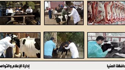  بيطري المنيا 