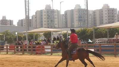 اليوم .. ختام التصفيات المؤهلة لكأس العالم ومنتخبنا والسعودية الأقرب للتأهل .. وحطب يكرم ضيوف مصر