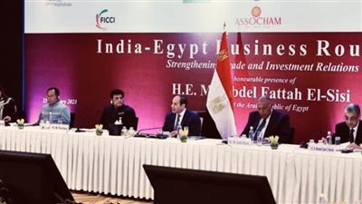 رجال أعمال وقادة كبريات الشركات الهندية يرحبون بتكثيف التعاون مع مصر 