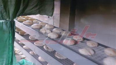 تحرير 64 محضرًا متنوعًا لأصحاب المخابز بمدن وقرى كفر الشيخ