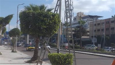 محافظ الإسكندرية يشدد على رفع كفاءة الإضاءة العامة بكل أحياء الثغر