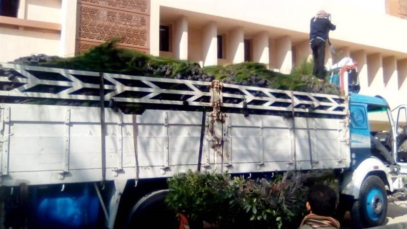 جانب من الوصول