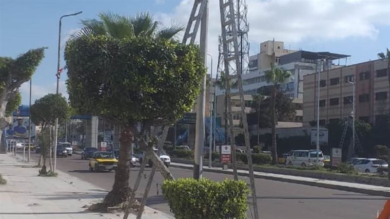 رفع كفاءة الاضاءه