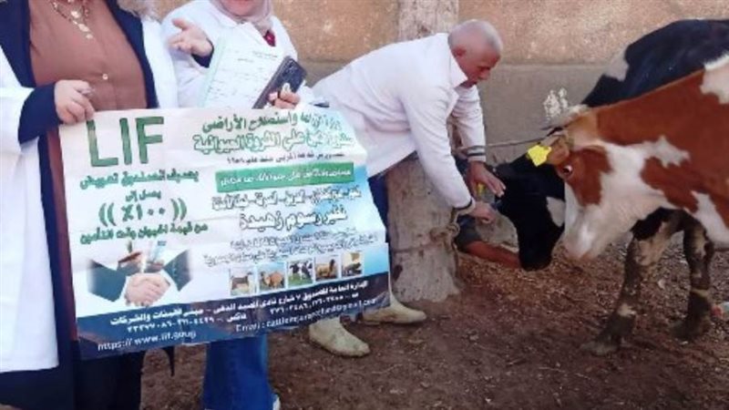 جانب من القافلة