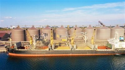 وصول 63 ألف طن قمح روسي لميناء سفاجا و150 ألف طن قمح لدمياط