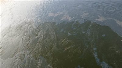 ظهور بقعة سولار امام ماخذ محطة مياه المراغة السطحية بسوهاج