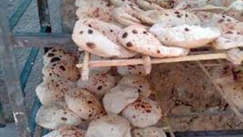 حملة تموينية