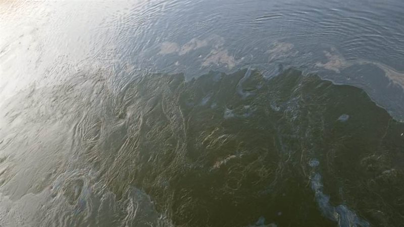 جانب من البقعه