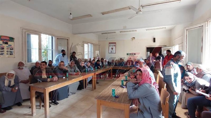 زراعة كفرالشيخ