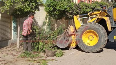 تقليم الأشجار المتداخلة مع أعمدة الإنارة واستمرار رفع كفاءة النظافة بكفر الشيخ