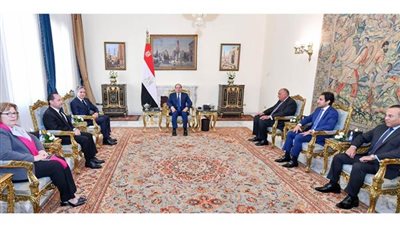 7 رسائل من الرئيس السيسي للعالم خلال لقائه بوزير خارجية الولايات المتحدة 