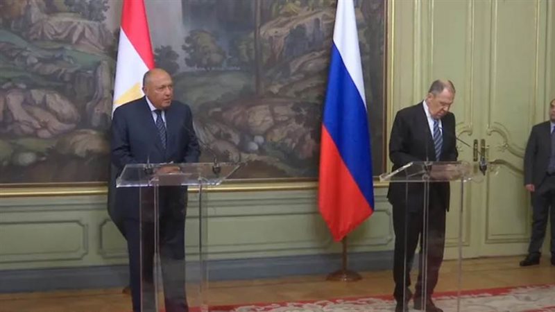 وزير الخارجية سامح