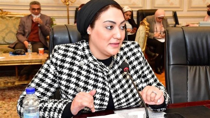 النائبة أسماء الجمال