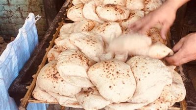 ضبط منتجات منتهية الصلاحية خلال حملة تموينية بالإسماعيلية 