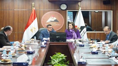 وزيرا التخطيط والتنمية المحلية يبحثان آخر تطورات برنامج التنمية المحلية بصعيد مصر