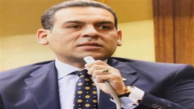 وكيل اتصالات النواب: الأمن السيبراني شهد اهتماما كبيرا من الدولة المصرية