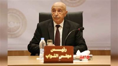 رئيس مجلس النواب الليبي والسفير الألماني يؤكدان دعم جهود المبعوث الأممي