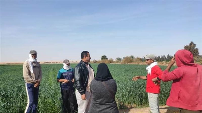 استمرار المرور الحقلي