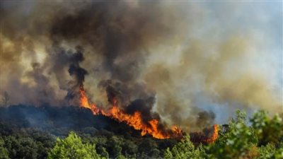 فرنسا:حريق يغطي نحو 110 هكتارات من الغطاء النباتي في إقليم 