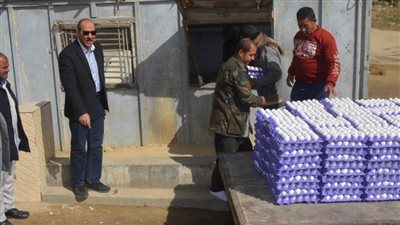 سكرتير بني سويف يتفقد العمل بمصنع الأعلاف ومنافذ البيع بمشروعات الدواجن المركزية 