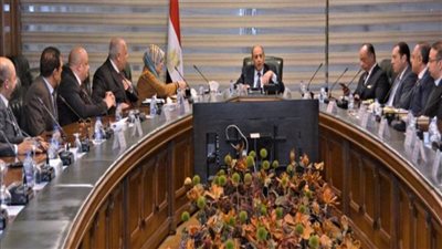  وزير الطيران يبحث مع الشركات الخاصة آليات تعزيز دور القطاع الخاص في منظومة النقل الجوي