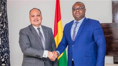السفير المصري في كوناكري يلتقي مع رئيس وزراء غينيا