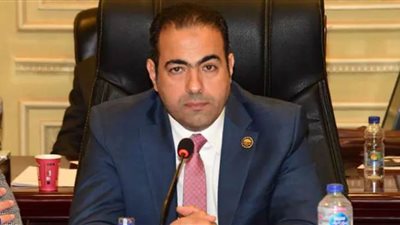 رئيس شباب النواب: نسعي لتحويل الرياضة المصرية مصدر من مصادر الدخل القومي