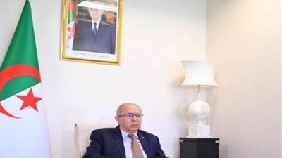  الجزائر تؤكد على دور 