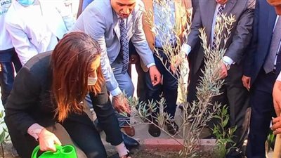 جهود البحيرة في مجال العمل البيئي... التخلص الآمن من 190 طن مخلفات طبية خطرة