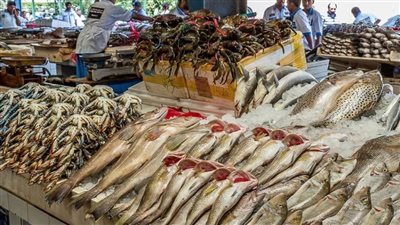 أسعار الأسماك اليوم الخميس 9 - 2 - 2023 في الأسواق المصرية