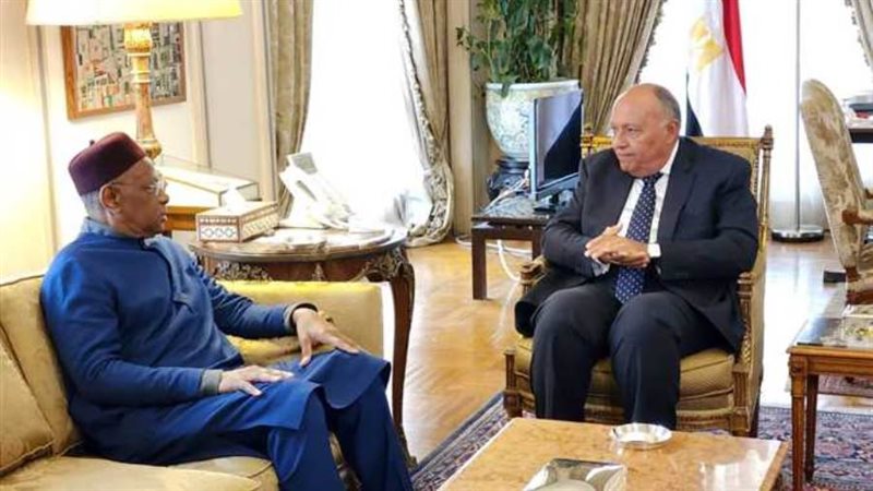 وزير الخارجية