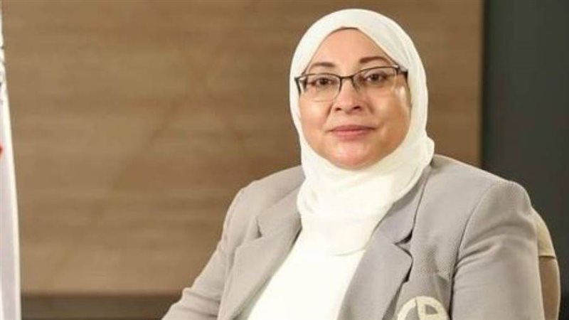 المهندسة جيهان عبد