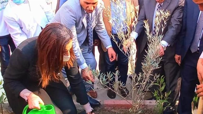 جهود محافظة البحيرة