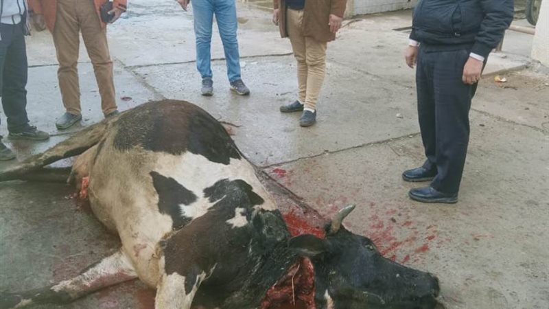 حملات رقابية للطب