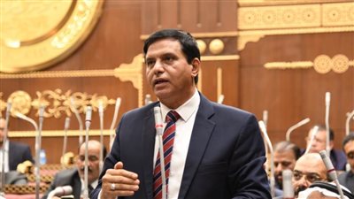 حماة الوطن :الأمن العربي جزء لا يتجزأ من الأمن القومي المصري