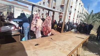 الوحدات المحلية بالوادي الجديد تواصل طرح اللحوم بأسعار مخفضة للمواطنين 