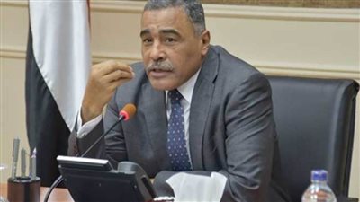 محافظ مطروح يوجه بتوفير اللحوم بأسعار مخفضة بالتنسيق مع محلات الجزارة