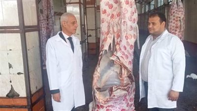 ذبح 10278 رأس ماشية داخل المجازر الحكومية بالبحيرة 