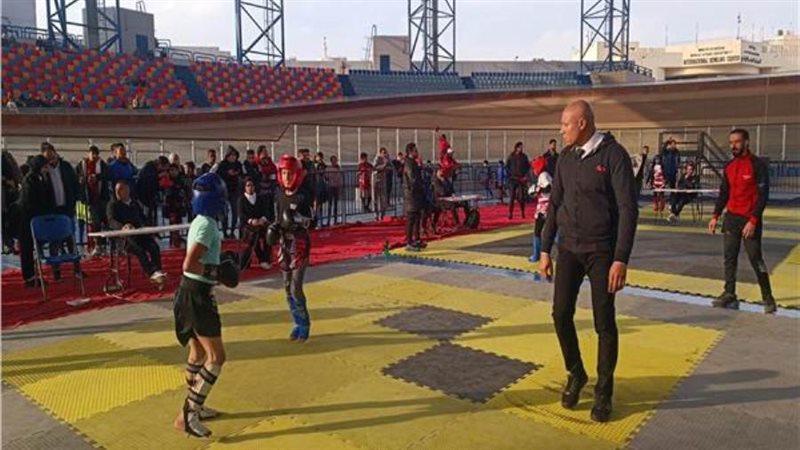 بوابة روز اليوسف