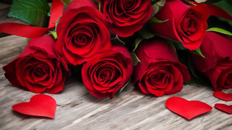 أسعار الورد اليوم