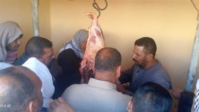 اديك في ايدينا نسعد