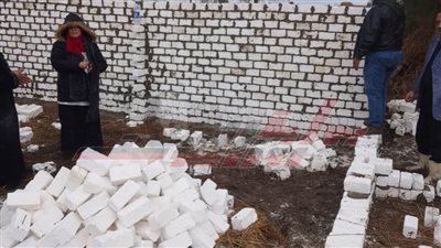 إزالة 4 حالات تعدٍ على الأراضي الزراعية بمطوبس والحامول في كفر الشيخ