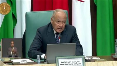 ابو الغيط: قضية فلسطين والقدس جمعت العرب كما لم تجمعهم قضية اخري