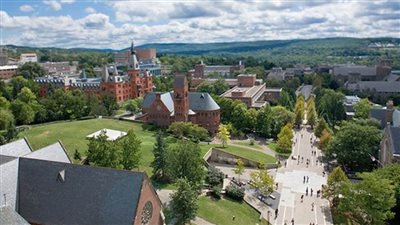 علماء أمريكيون يحددون دور جزيئات الحمض النووي الريبوزي المرتبط بمرض السكري النوع الثاني