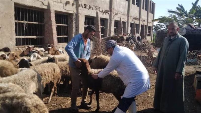 تحصين الحيوانات