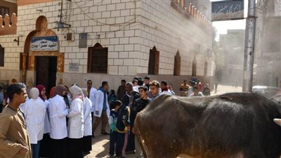 جامعة سوهاج تعالج ٣٦٥ حالة بقافلتها البيطرية لقرية الحواويش بالمجان