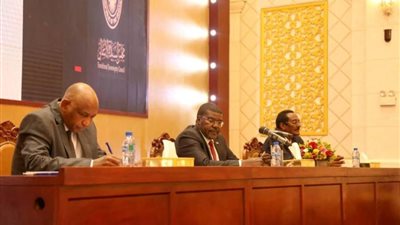 عضو مجلس السيادة بالسودان يؤكد ضرورة جمع السلاح من المواطنين وفرض هيبة الدولة